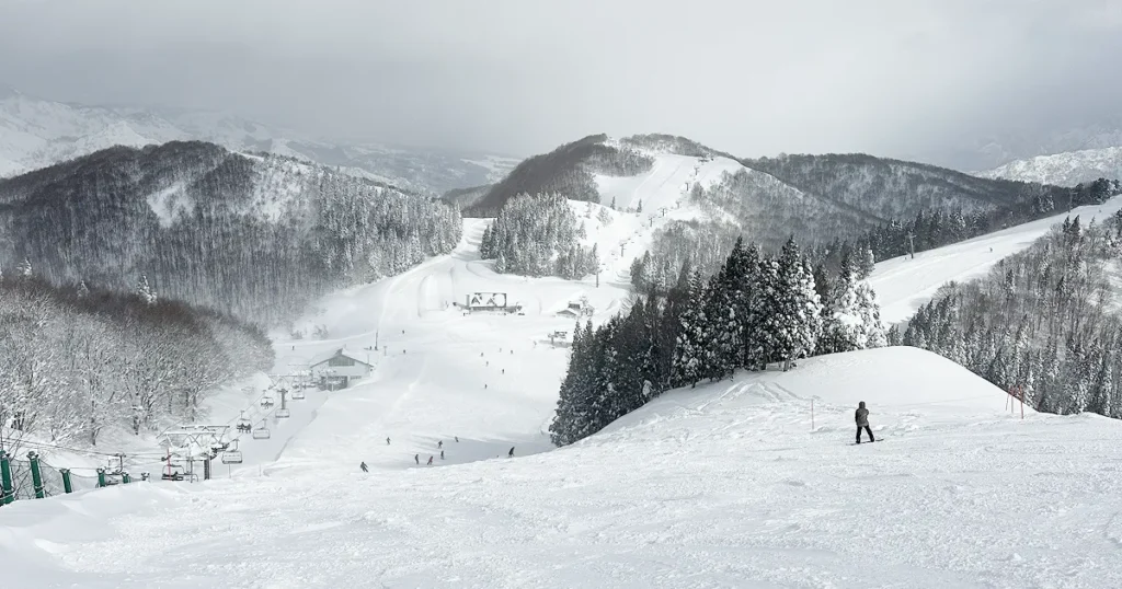GALA湯沢の中級者・上級者向けコース