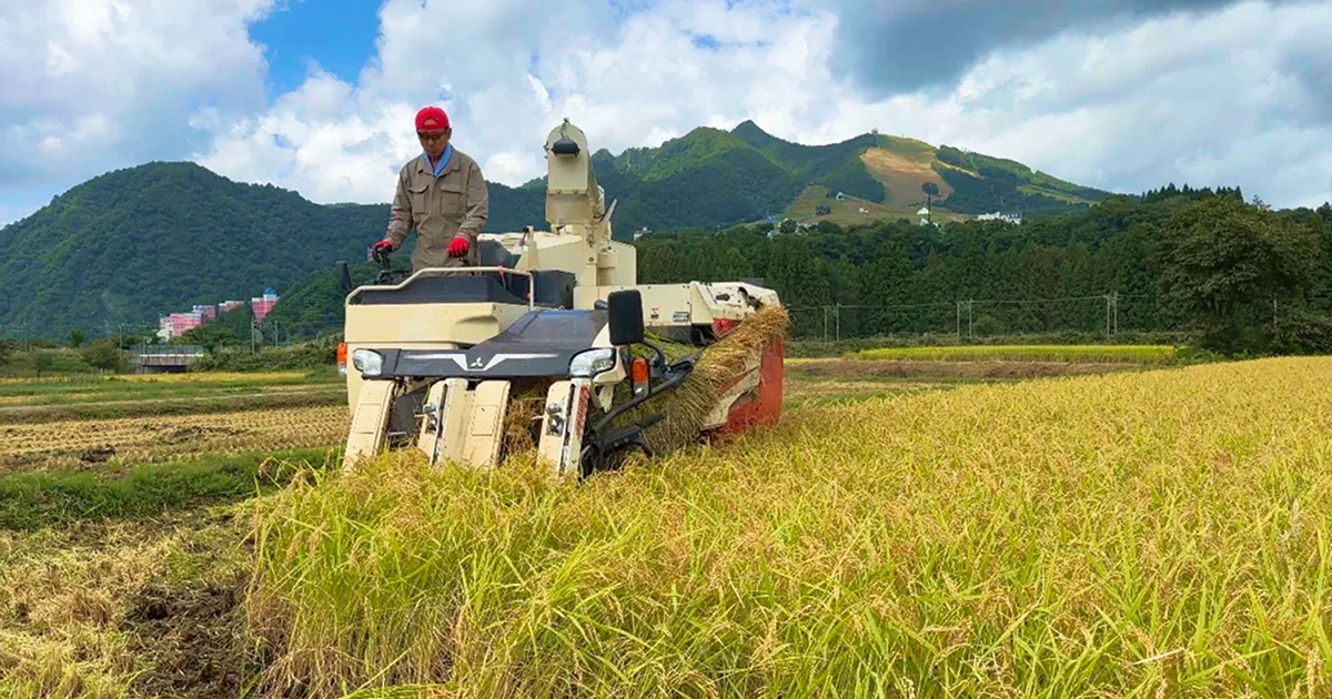 酒米越淡麗の生産を担当された地元農家の「さくらファーム」さん