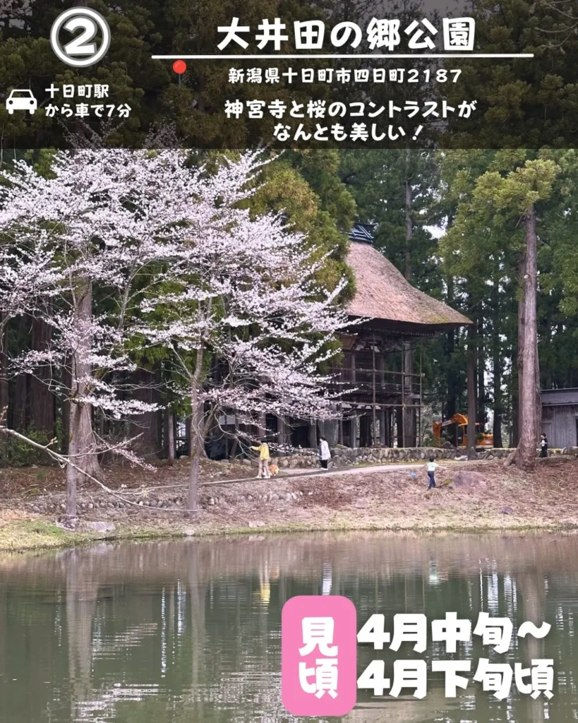 大井田の郷公園