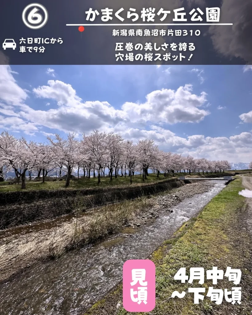 かまくら桜ケ丘公園