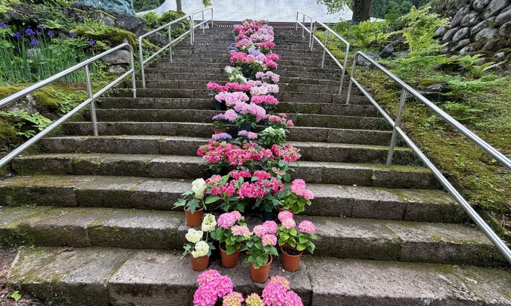 関興寺の花階段