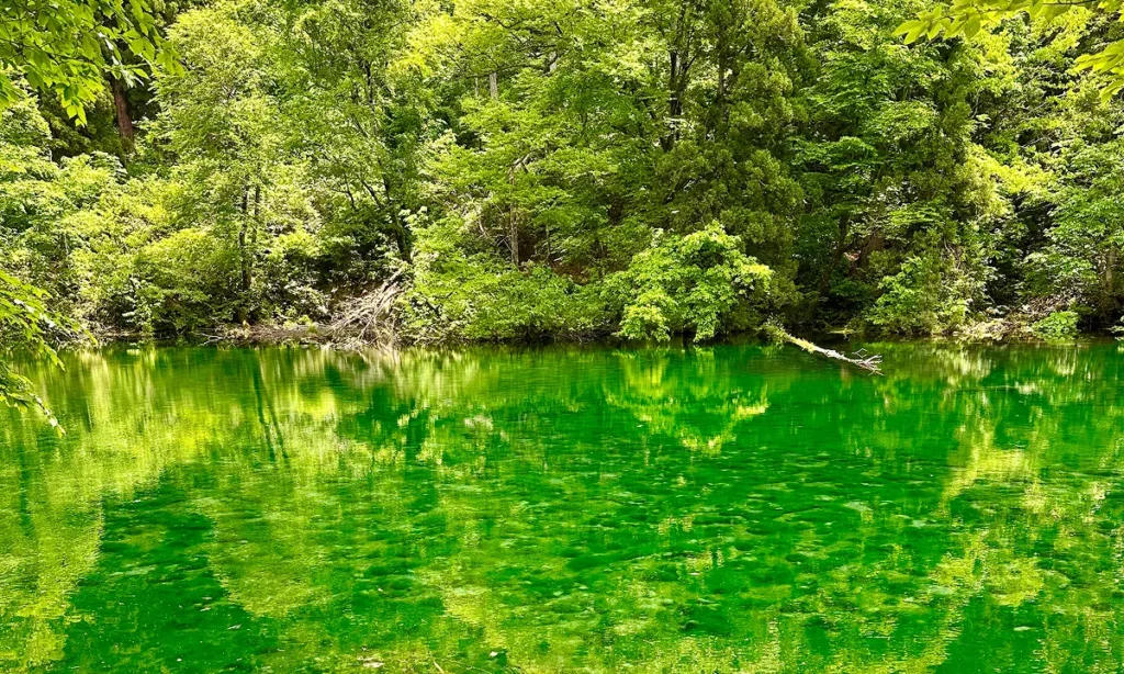 名水百選「龍ヶ窪」
