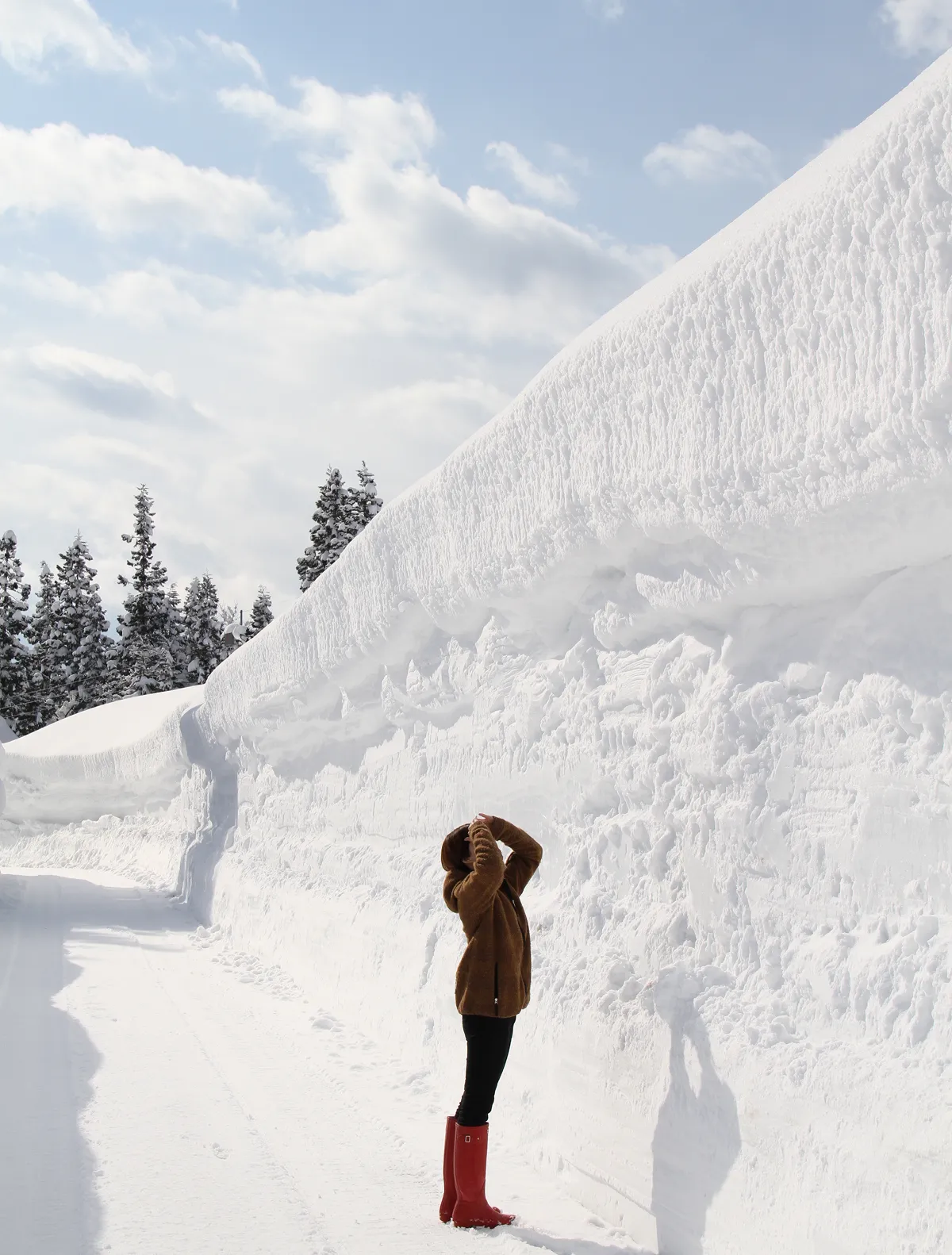 栄村の雪のイメージ