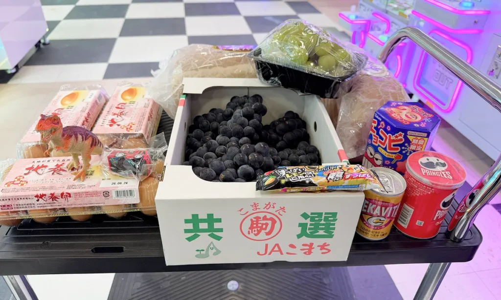 ハピピランド十日町店10円〜30円で遊べるコーナーがコスパ最強